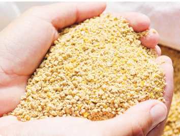 poultry-feed