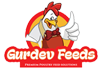 footer-logo